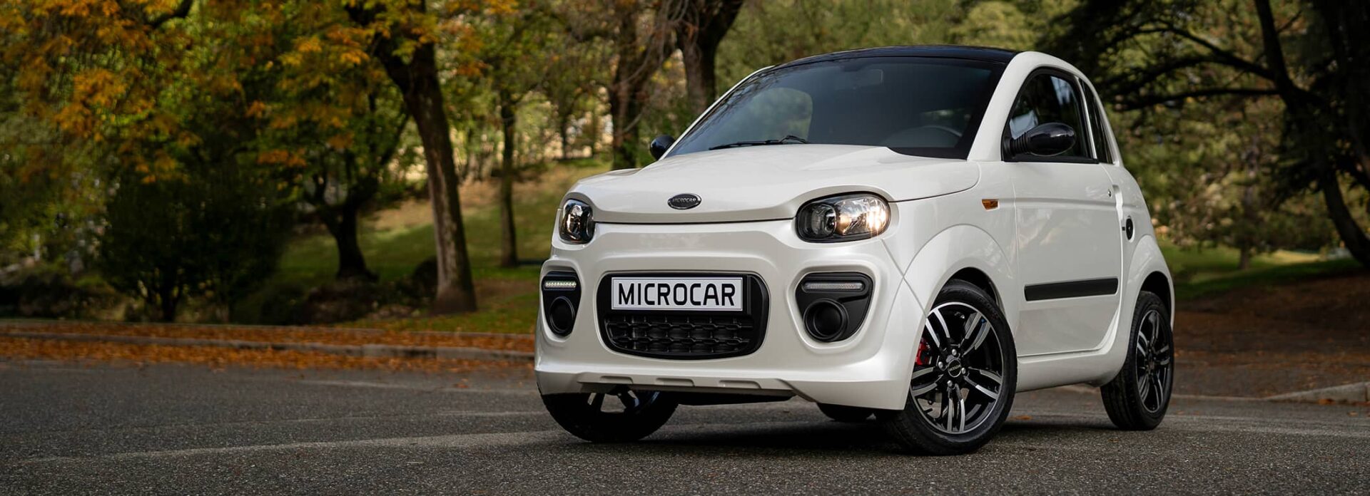 microcar dué voiture sans permis